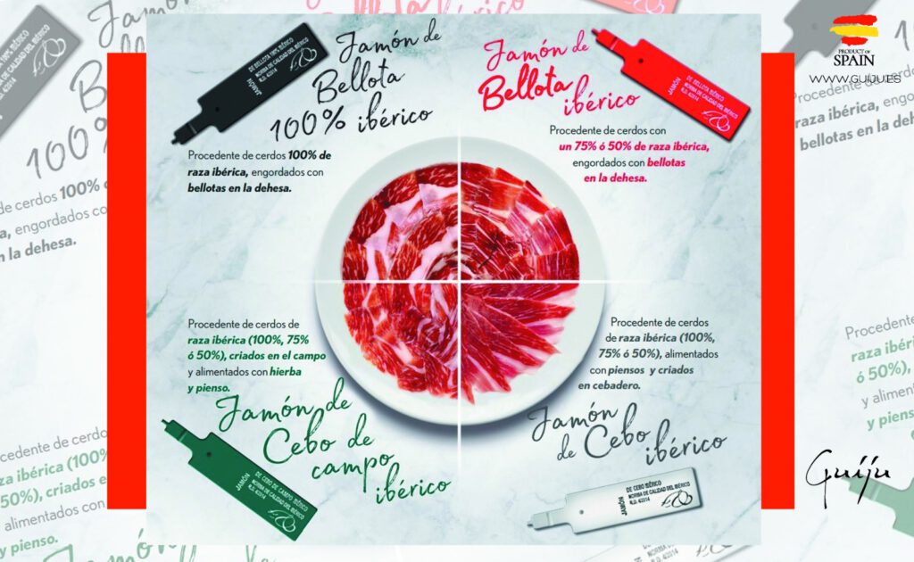 Cómo identificar las bridas del jamón ibérico según la norma de calidad Clasificación de las bridas del jamón ibérico según alimentación y raza.